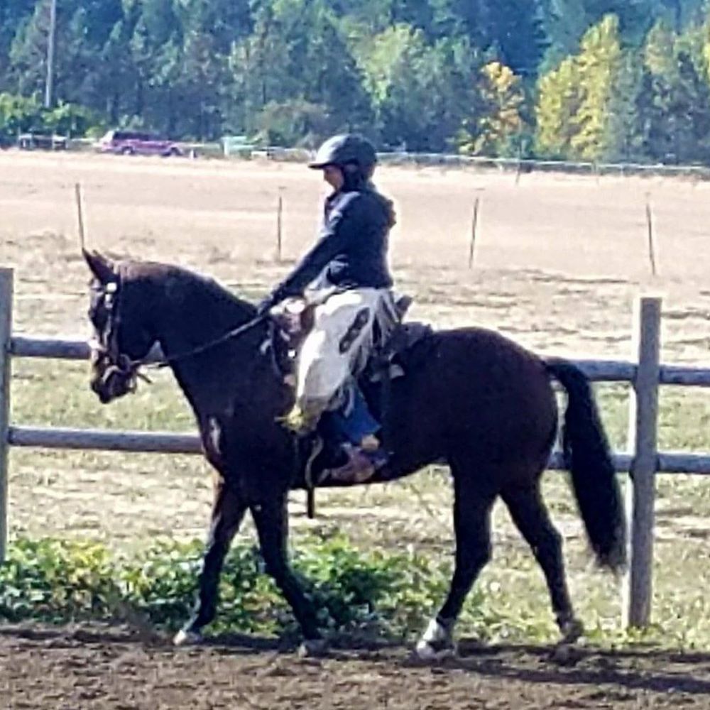 Meet your Posher, Peggy